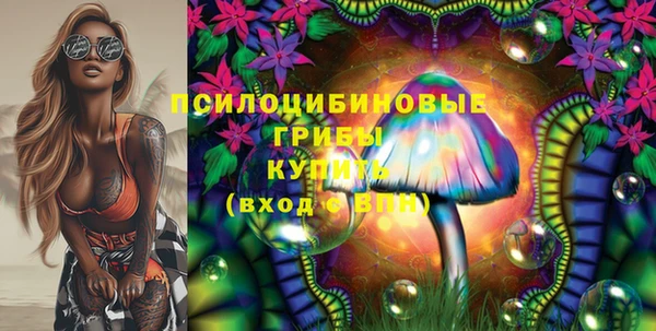 тгк Краснотурьинск