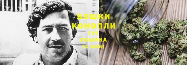 ALPHA-PVP Краснослободск