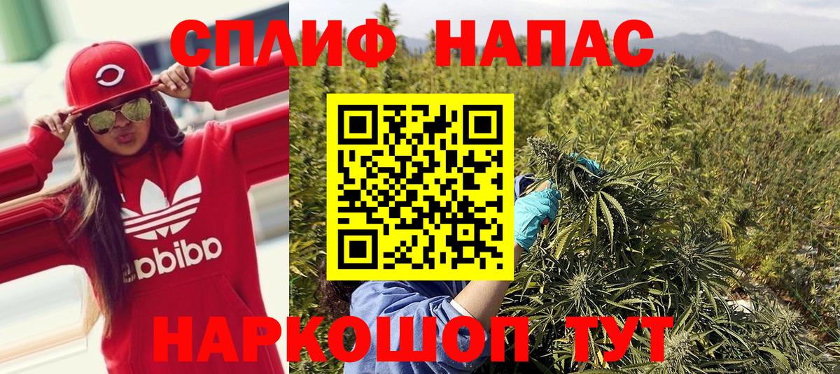 Марихуана планчик  Бошки марихуана тримм  Каннабис сатива  Вход с VPN  Соликамск 